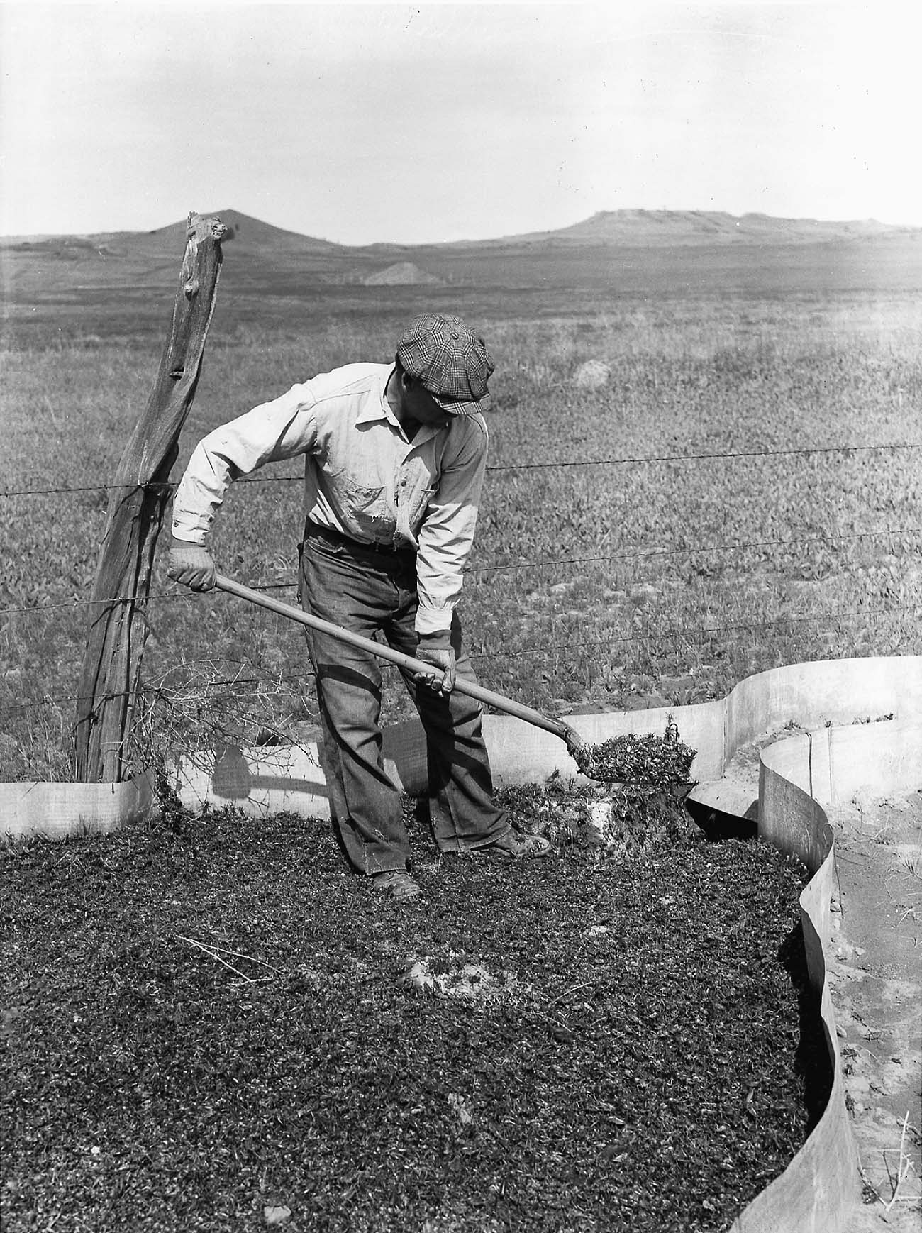 Project Title: The Great Depression Transforms Montana, 1929-1941