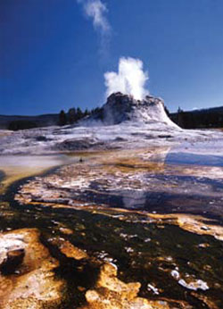 Geysers in Yellowstone