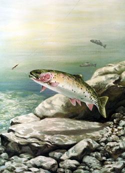 Cutthroat Trout