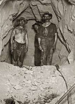 Butte Miners