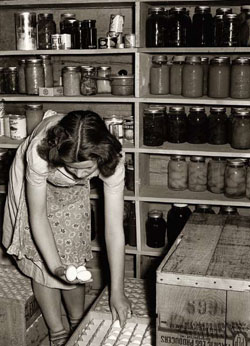 Farmer's daughter sorting eggs in storage cellar