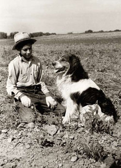 young sugar beet worker with a dog
